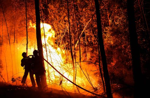 In vielen Ländern brennen die Wälder – wie etwa in Frankreich. Foto: AFP/Sylvain Thomas