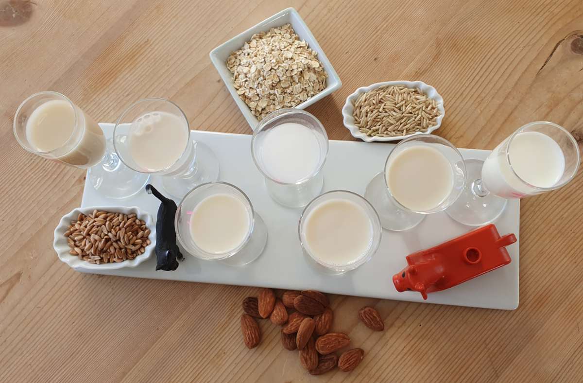Im großen Kinderzeitungs-Milch-Test haben die Kinderreporter sieben Sorten getestet: Dinkelmilch, Reismilch, Sojamilch, Hafermilch, Erbsenmilch, Mandelmilch und Kuhmilch.