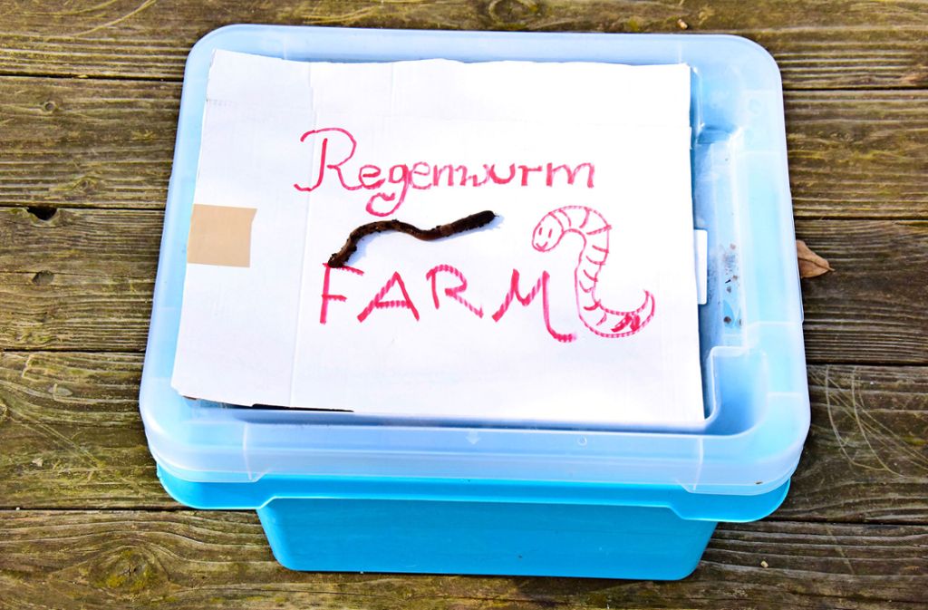 Packs an: Regenwurmfarm